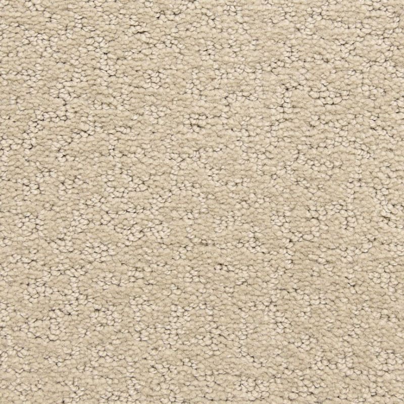 Prize Winner carpet by Dixie Home