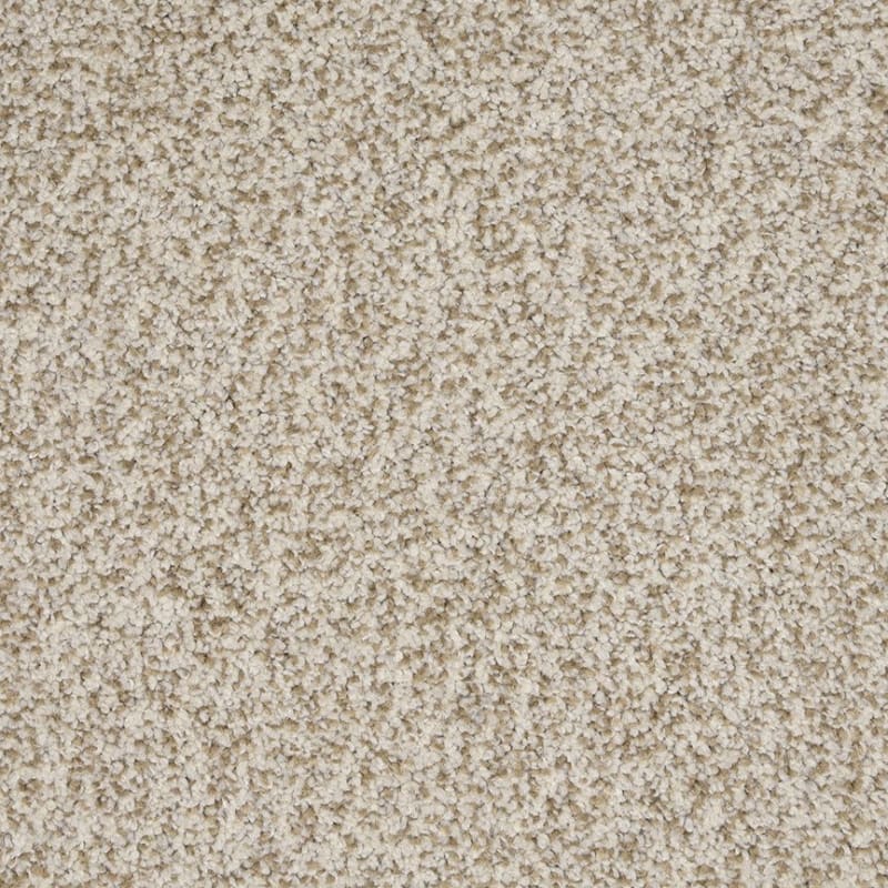 New Age carpet by Dixie Home
