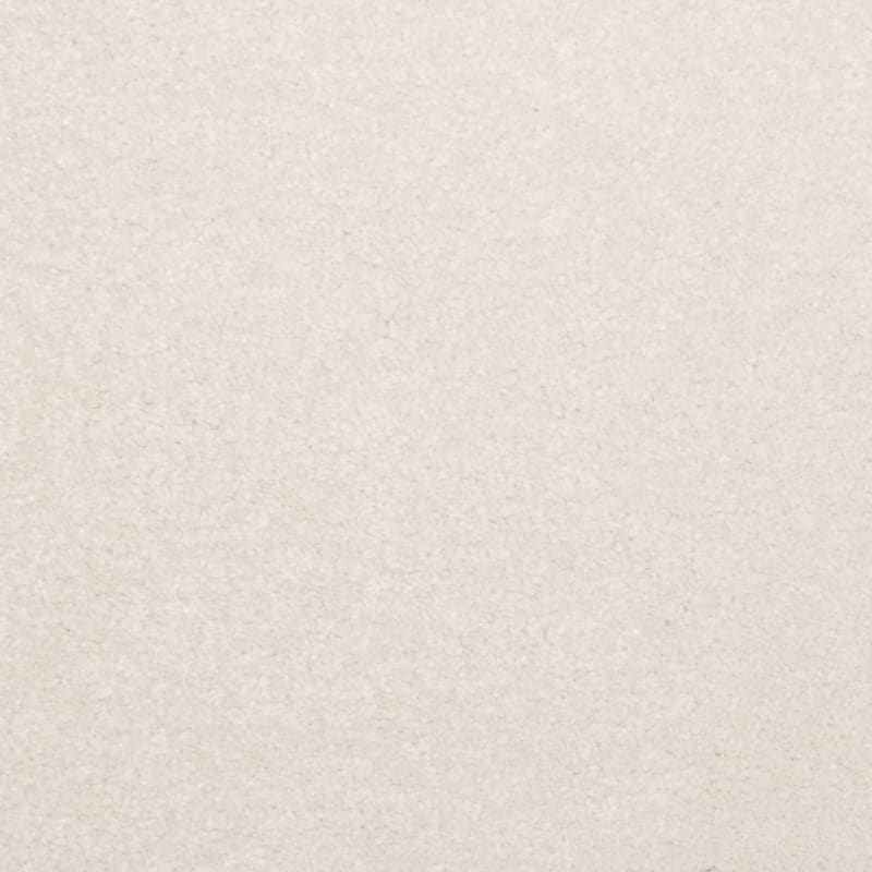 Inspiring carpet by Dixie Home
