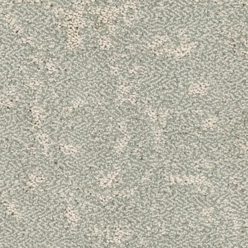Shelter carpet by Dixie Home