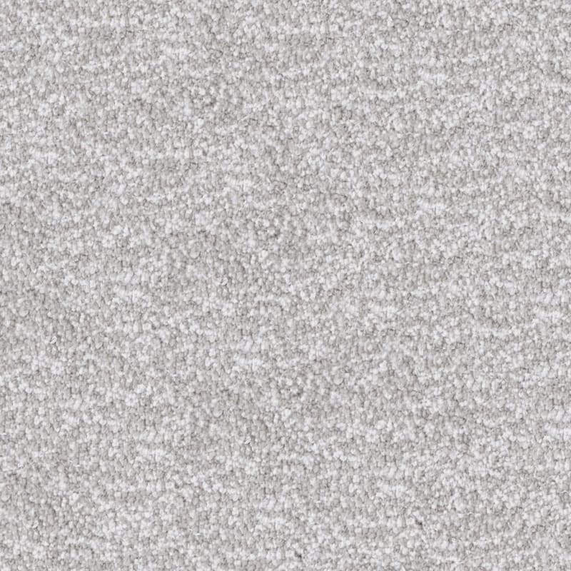 Dx220 carpet by Dixie Home