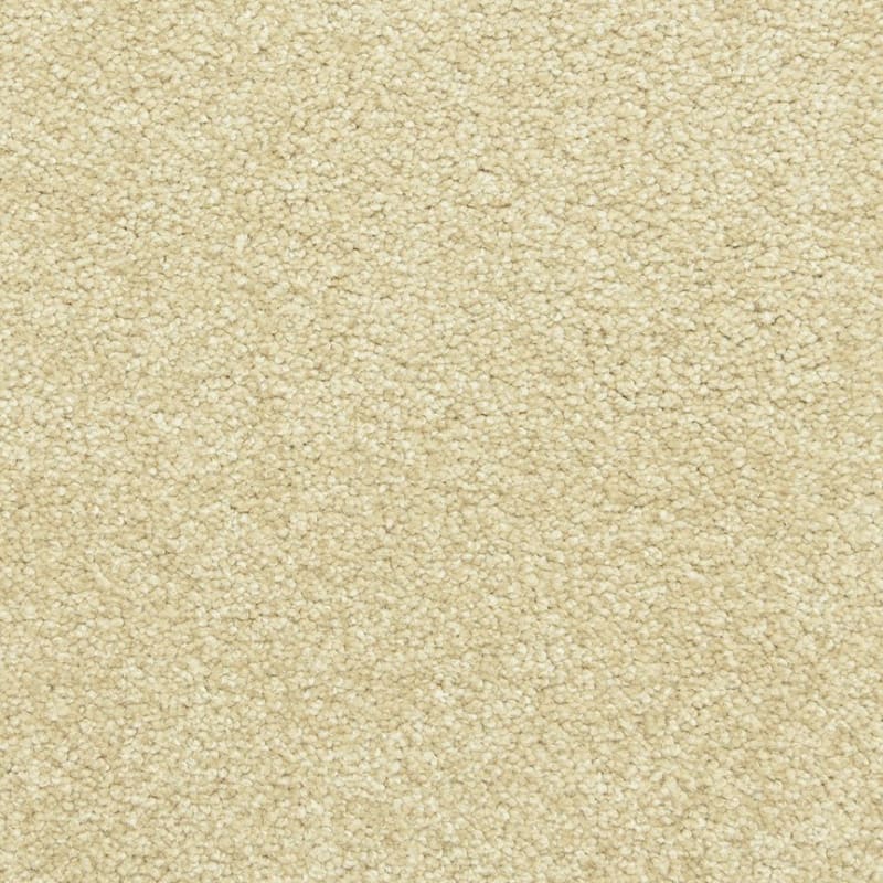 Maroon Bells carpet by Dixie Home