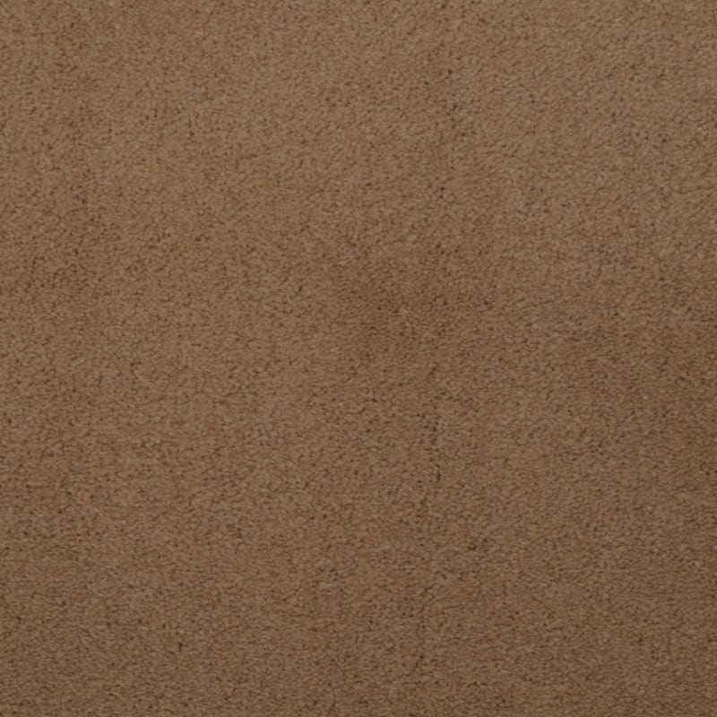 Touch of Velvet carpet by Dixie Home