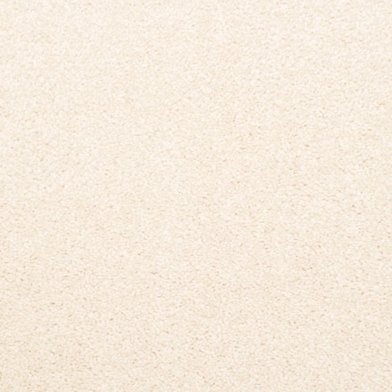 Delight carpet by Dixie Home
