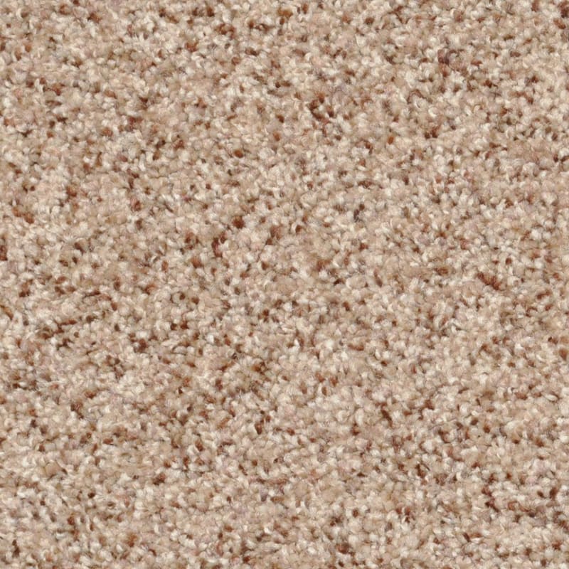 Treasured Moment carpet by Dixie Home