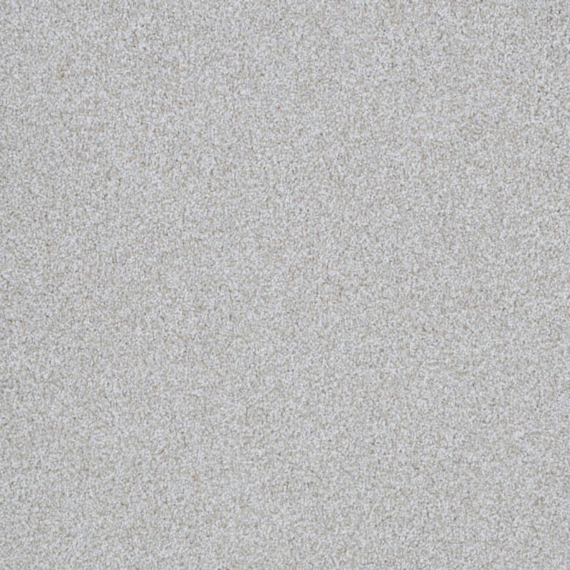 Top Dog carpet by Dixie Home
