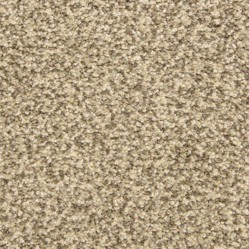 Colorworks carpet by Dixie Home
