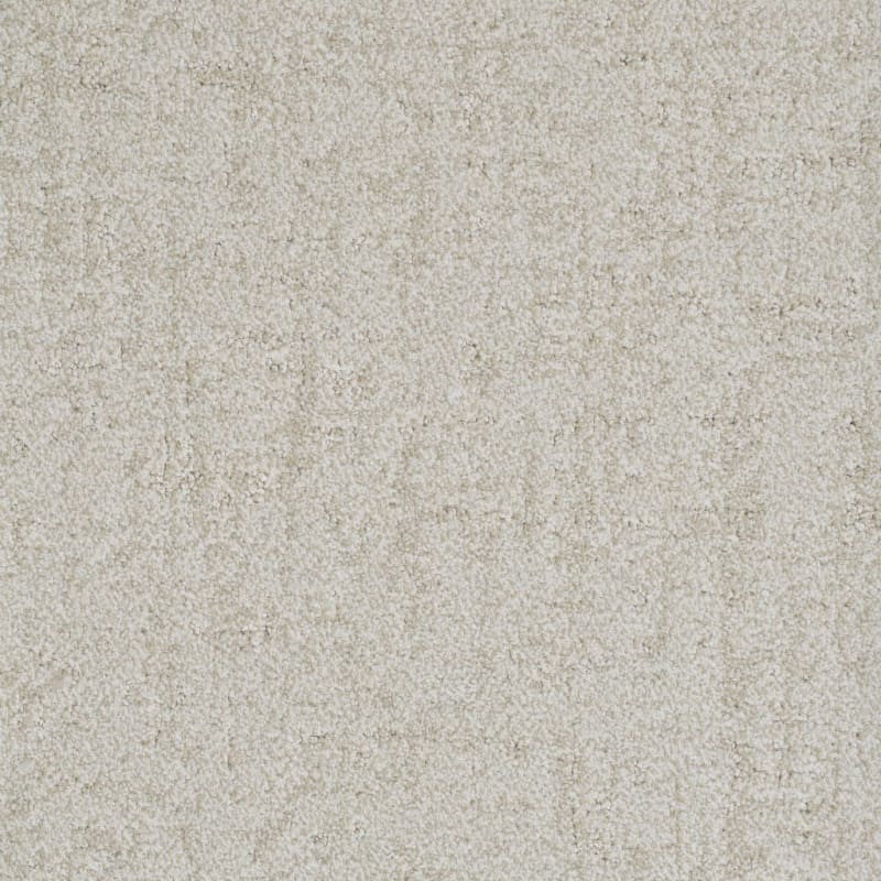 Authentic carpet by Dixie Home
