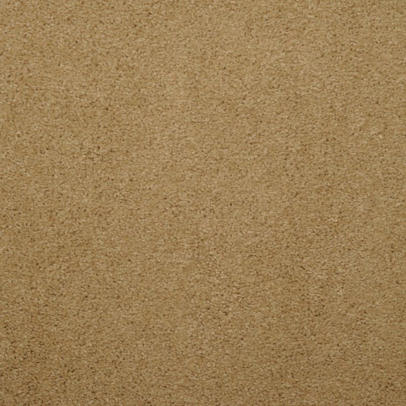 Soft & Silky carpet by Dixie Home