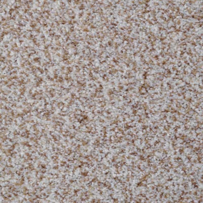 Bombay carpet by Dixie Home