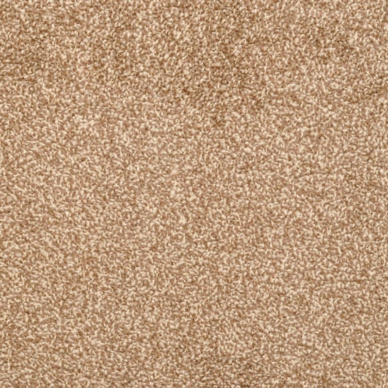 Delight carpet by Dixie Home