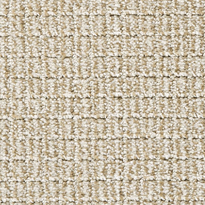 Modern Art carpet by Dixie Home