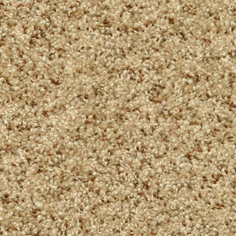 Magic Moment carpet by Dixie Home