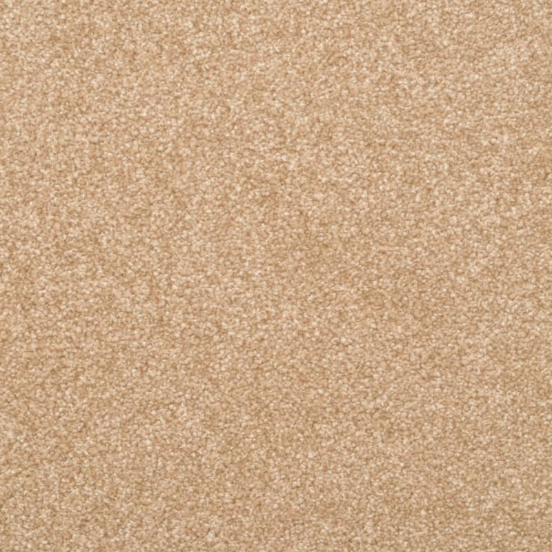 True Comfort carpet by Dixie Home