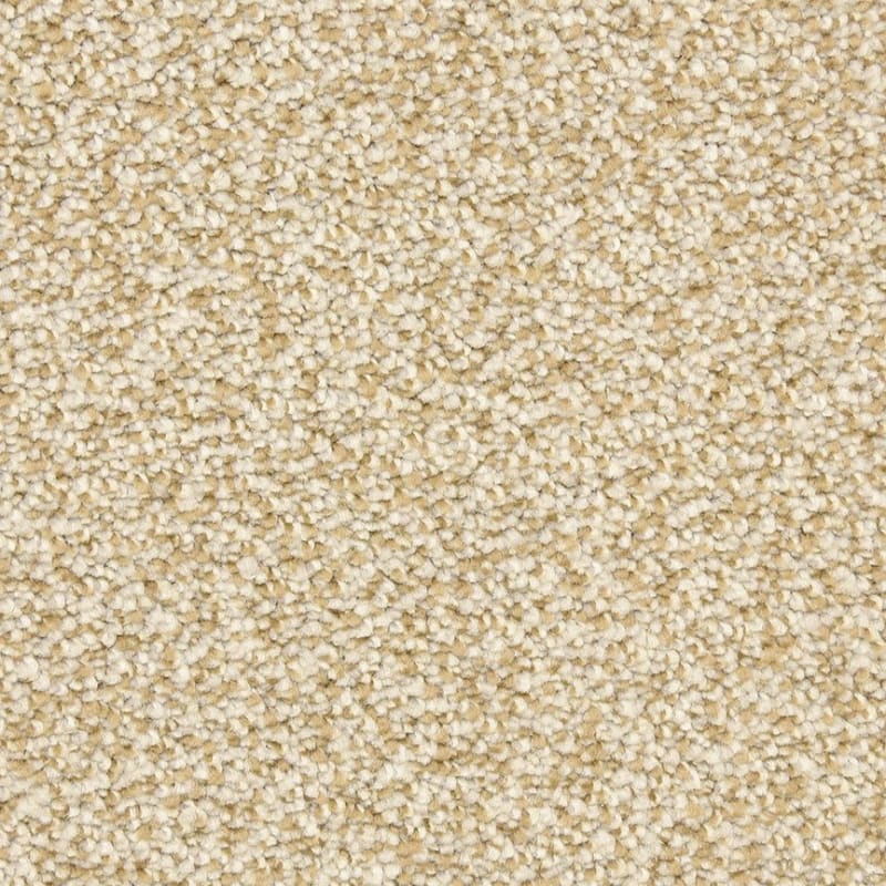 Spirit carpet by Dixie Home