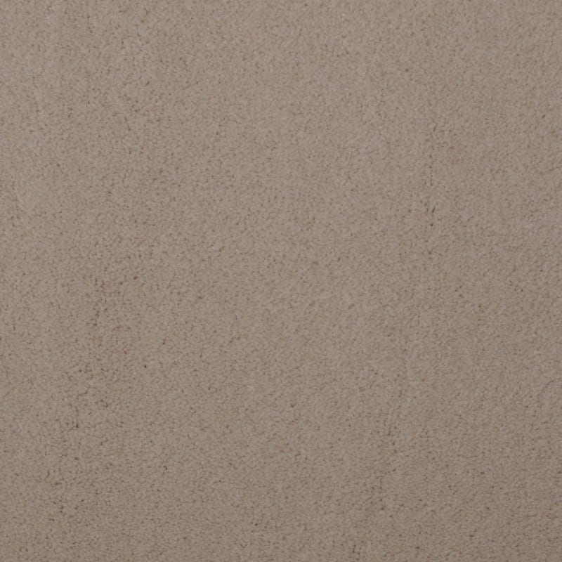 Touch of Velvet carpet by Dixie Home