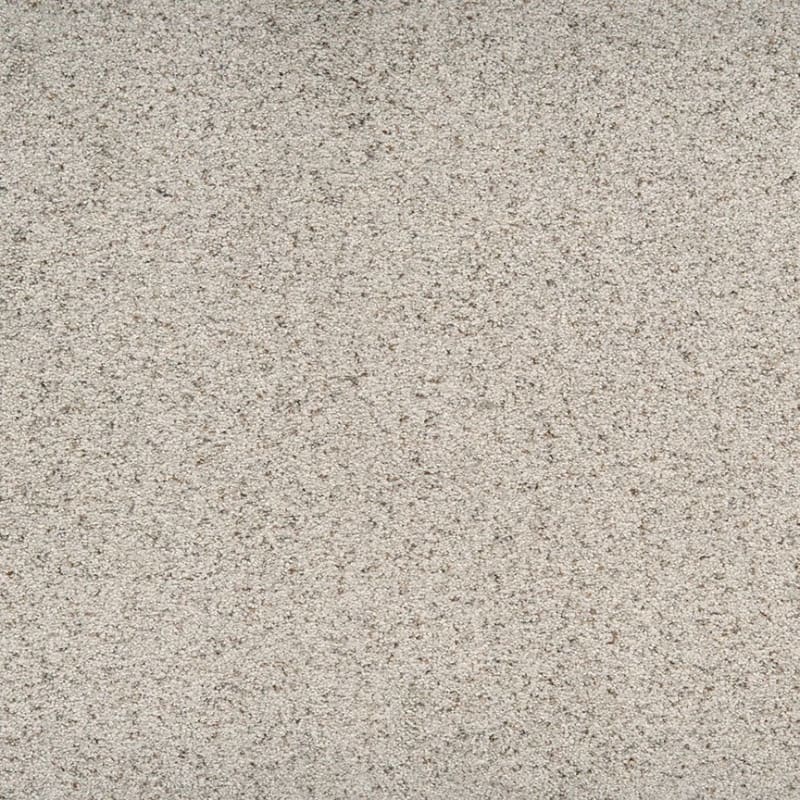 Suave carpet by Dixie Home