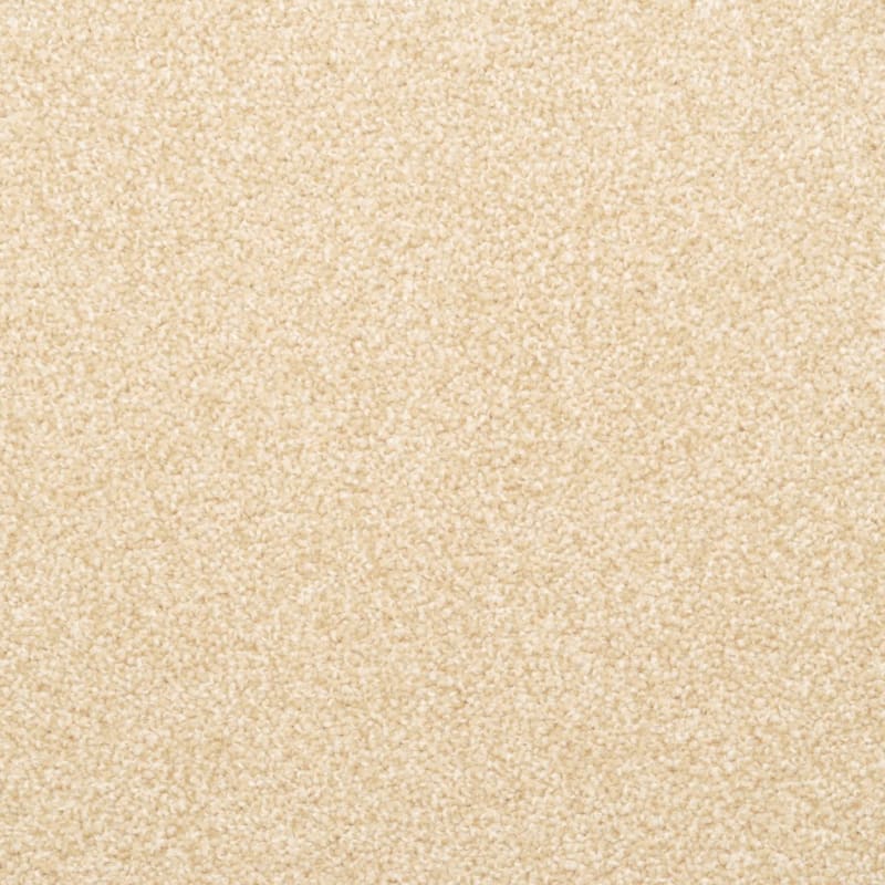 Delight carpet by Dixie Home