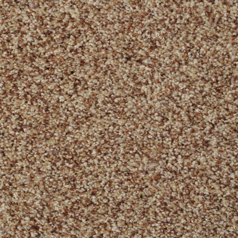 Bombay carpet by Dixie Home