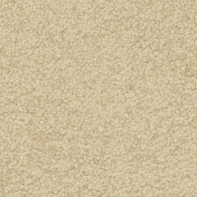 Magic Moment carpet by Dixie Home