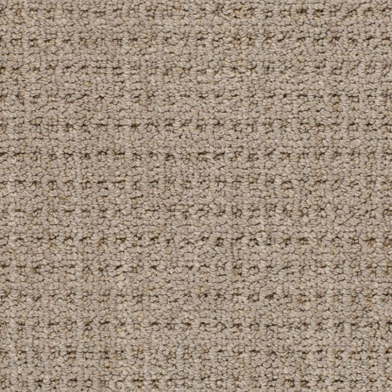 Villa carpet by Dixie Home