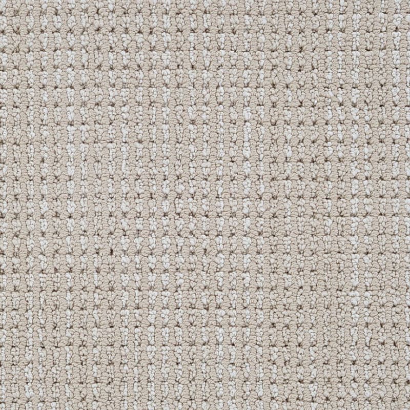 Top Notch carpet by Dixie Home