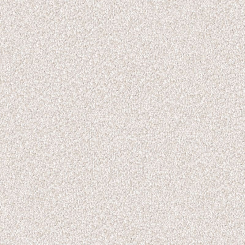 Dx109 carpet by Dixie Home