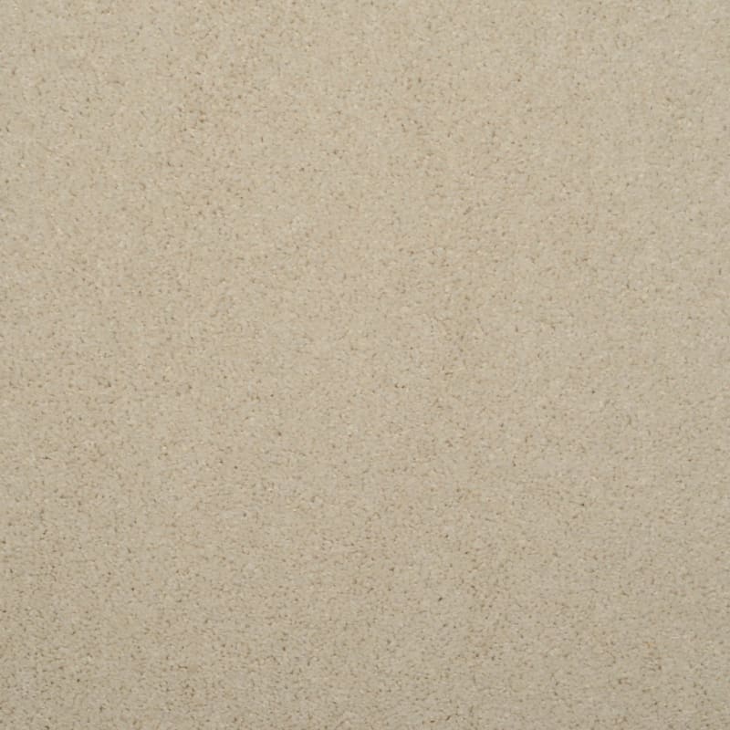 Soft & Silky carpet by Dixie Home