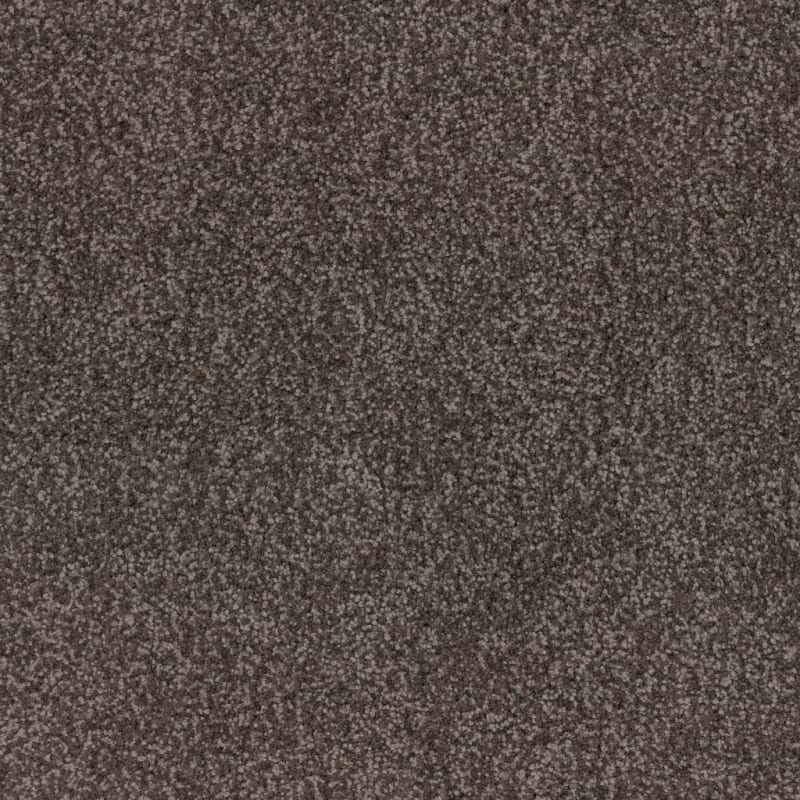 Spring Fling carpet by Dixie Home