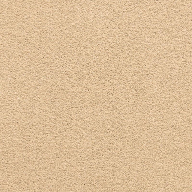 Grand Isle carpet by Dixie Home