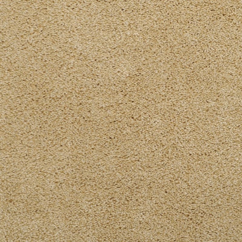Morning Mist carpet by Dixie Home