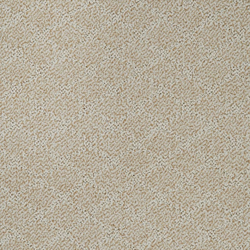 Fine Art carpet by Dixie Home