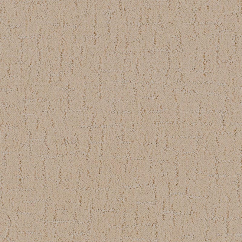 Dx301 carpet by Dixie Home
