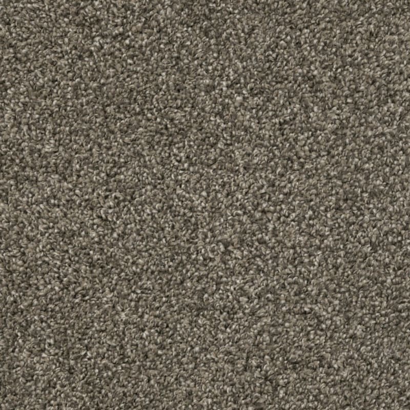 Big Idea carpet by Dixie Home