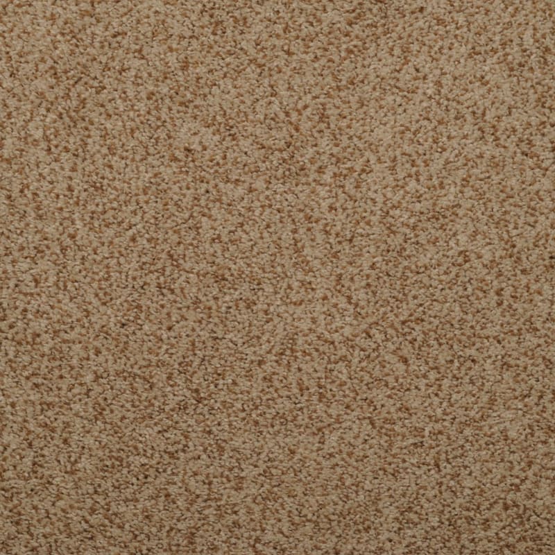 Soft & Silky carpet by Dixie Home