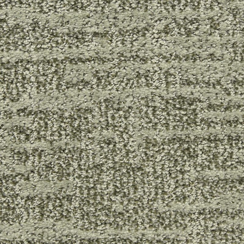 Expressions carpet by Dixie Home