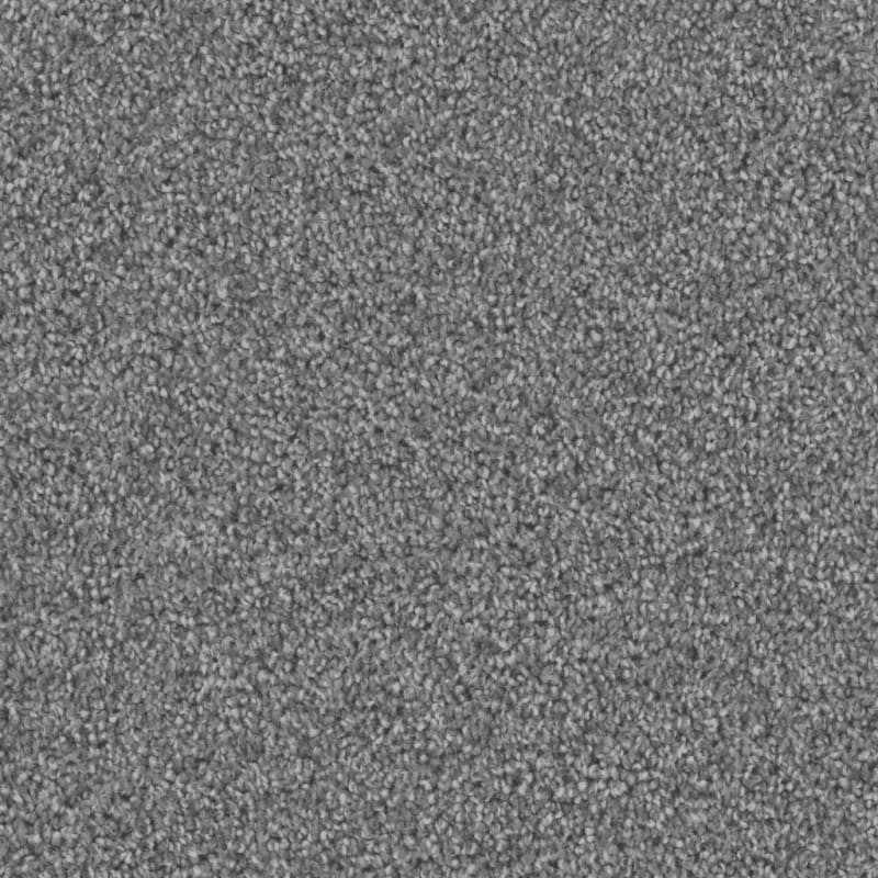 Dx836 carpet by Dixie Home