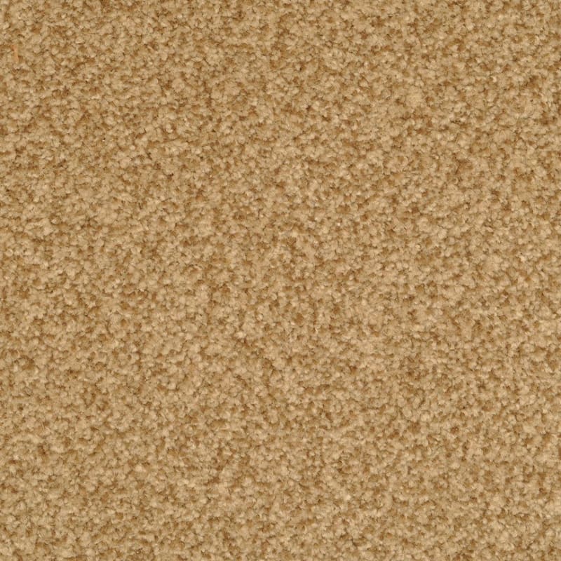 Chromatic Touch carpet by Dixie Home
