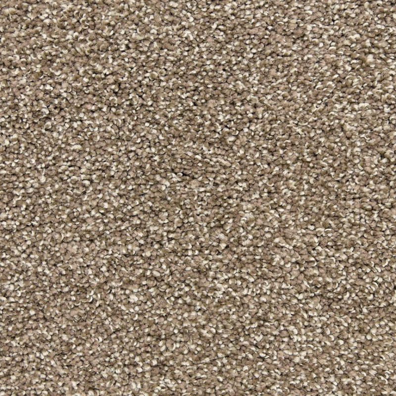 Rochelle carpet by Dixie Home