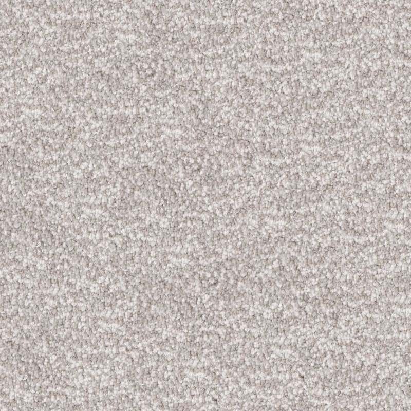Dx220 carpet by Dixie Home