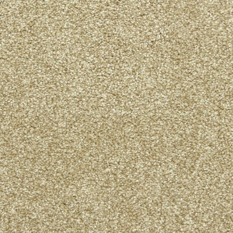 Maroon Bells carpet by Dixie Home