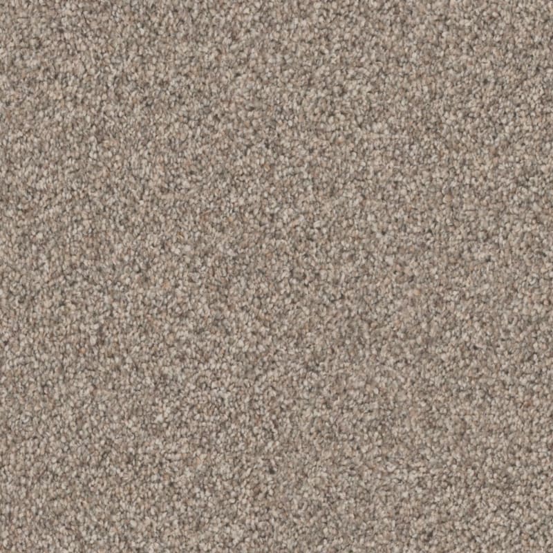 Adore carpet by Dixie Home