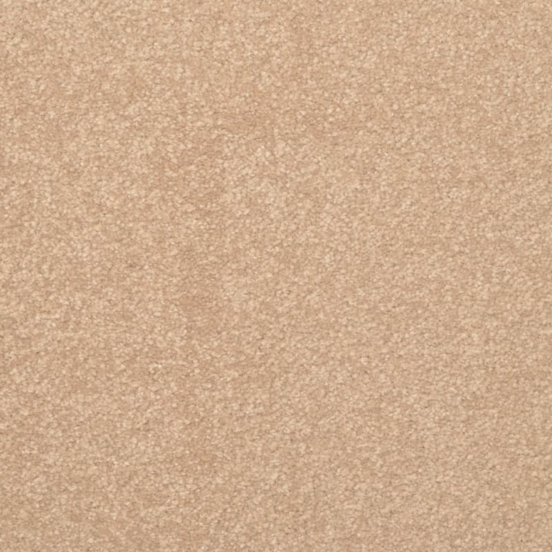 Inspiring carpet by Dixie Home