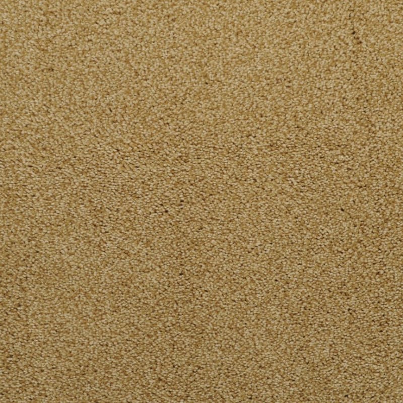 Morning Mist carpet by Dixie Home