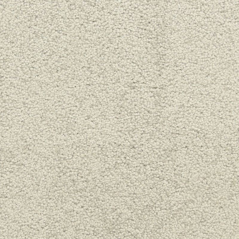Katie's Comfort carpet by Dixie Home