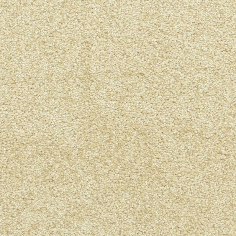 Leigh Way carpet by Dixie Home