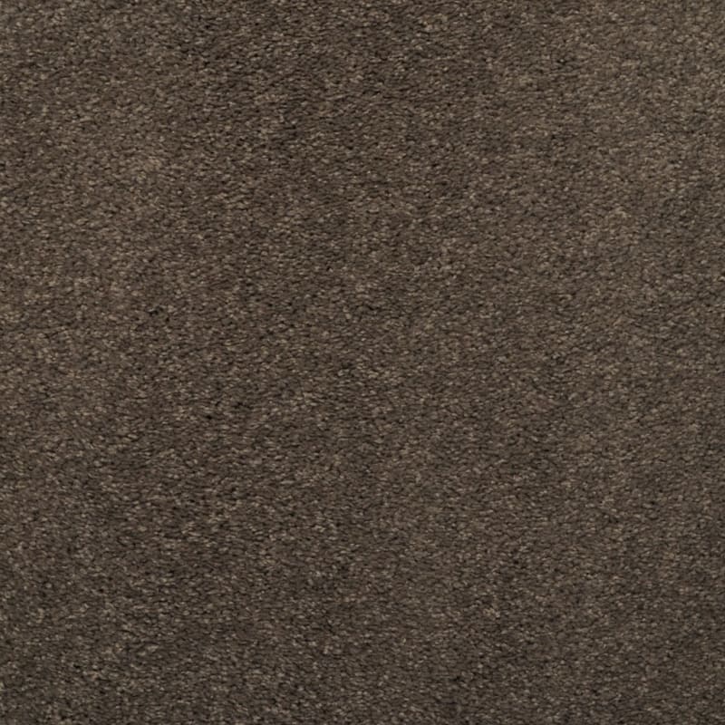 Soft & Silky carpet by Dixie Home