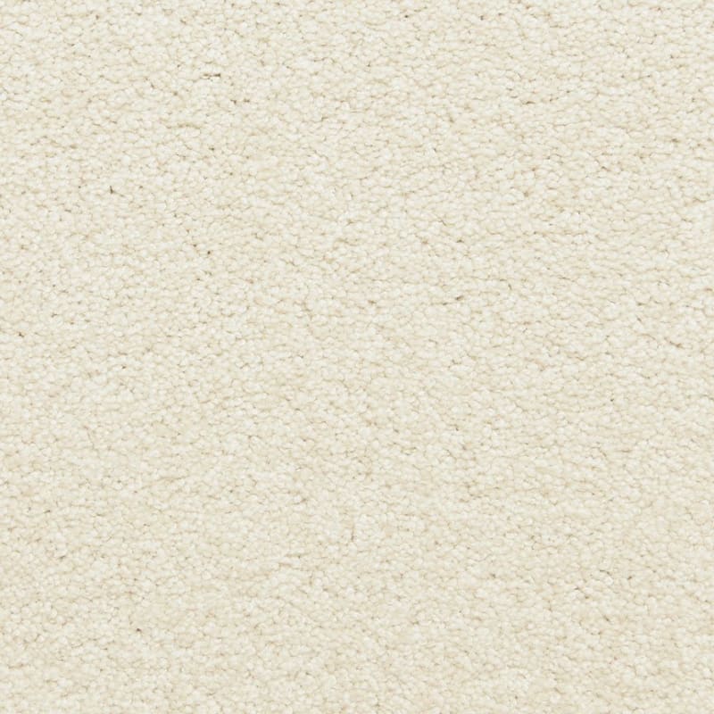 Star Power carpet by Dixie Home