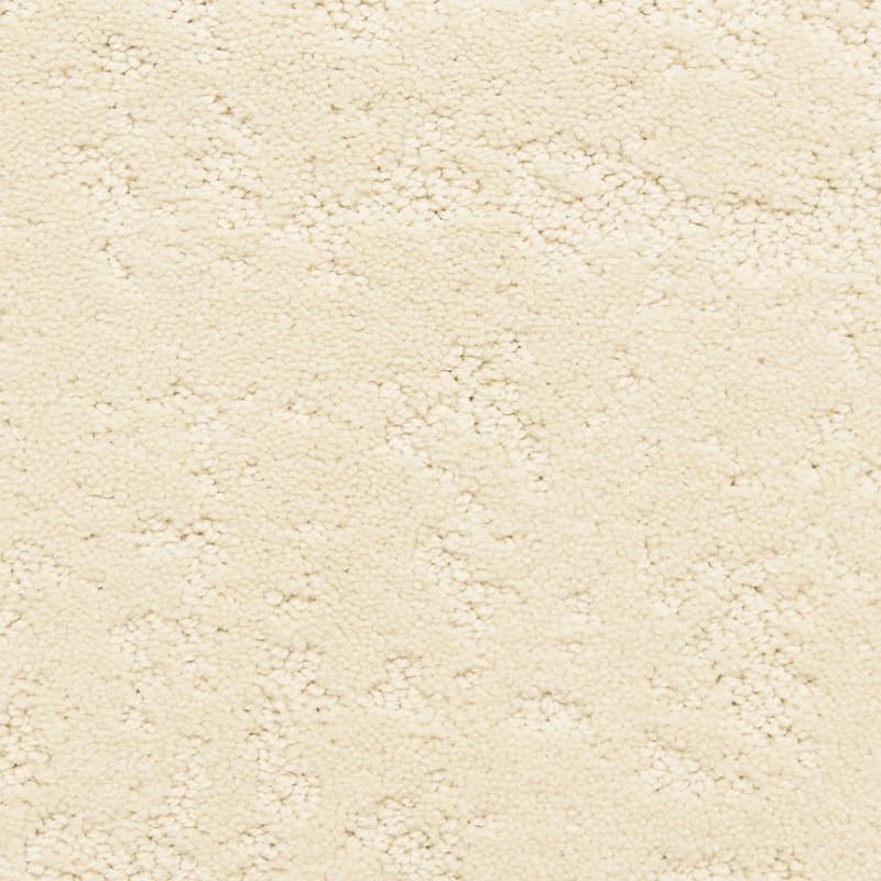 Classic Demeanor carpet by Dixie Home