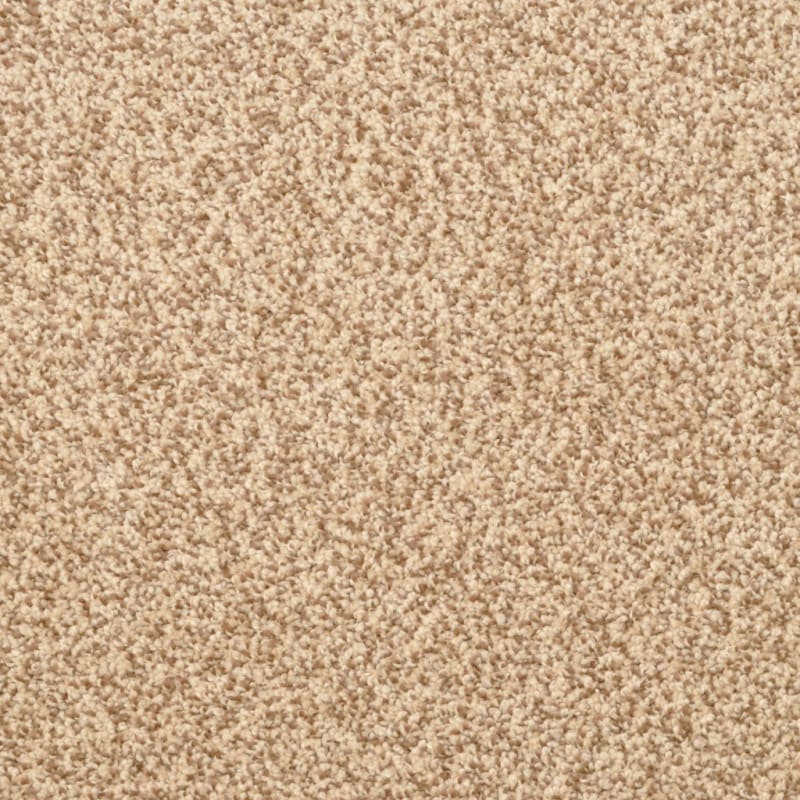 Delight carpet by Dixie Home